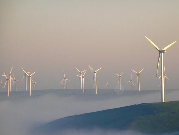 LED應急照明燈 LED應急照明燈