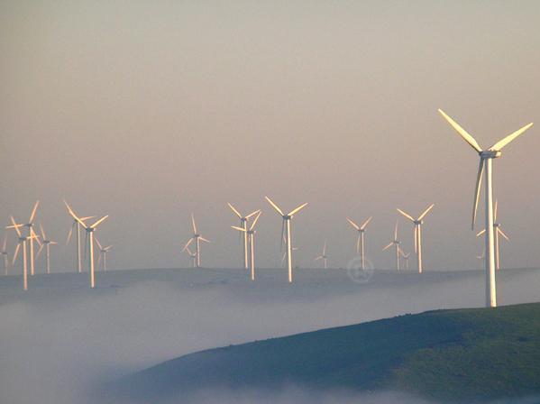 LED應急照明燈 LED應急照明燈